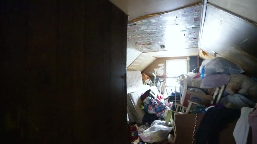 Pink Dumpster Rentals, Demolition, and Hauling